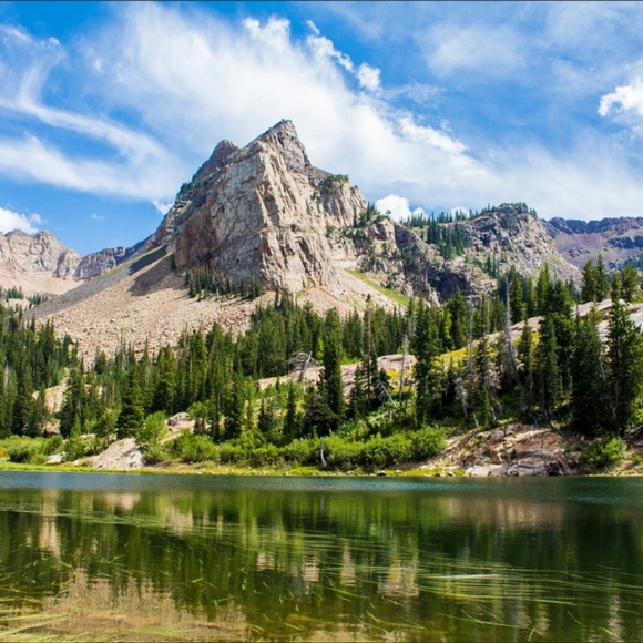 Meet your Posher, Wendy - Picture 8 of 8